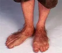 hobbit