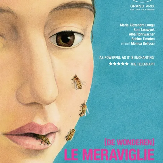 le meraviglie 26006403 ps 1 s low1