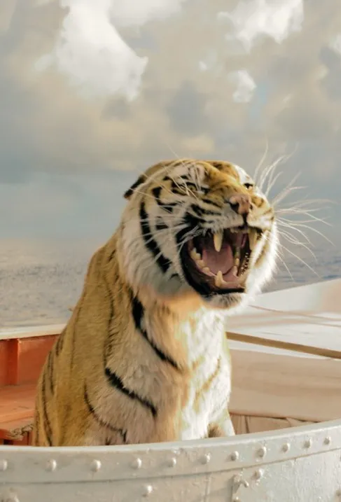 life of pi6