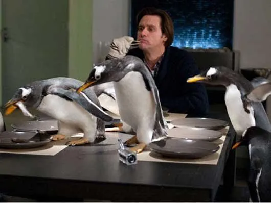 mr poppers penguins