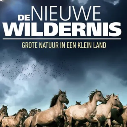 nieuwewildernis