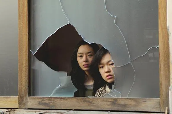 paju 1