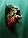 piranha 3d