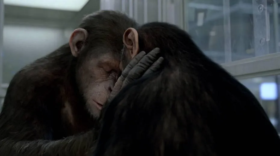 rise of the apes