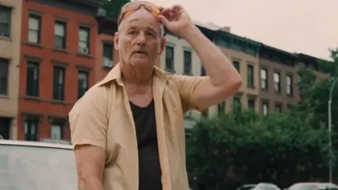 stvincentbillmurray