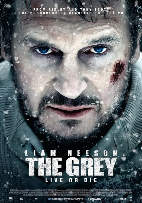 the20grey20poster