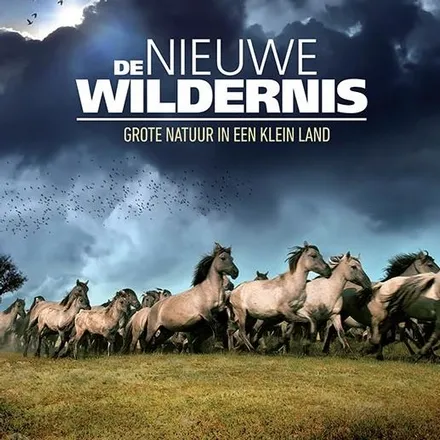 uinhde nieuwe wildernis