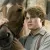 war horse feat