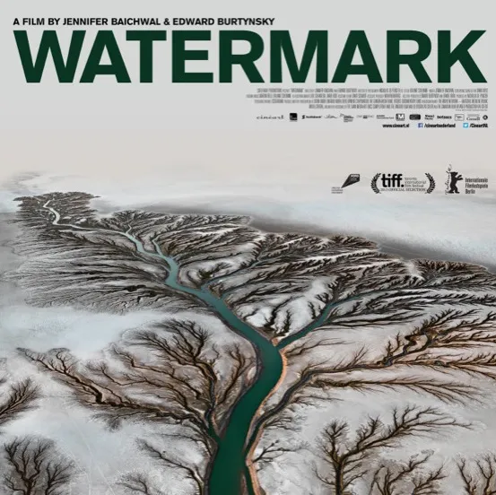 watermark 20000276 ps 1 s low