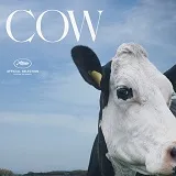 week200720headlines20 20cow