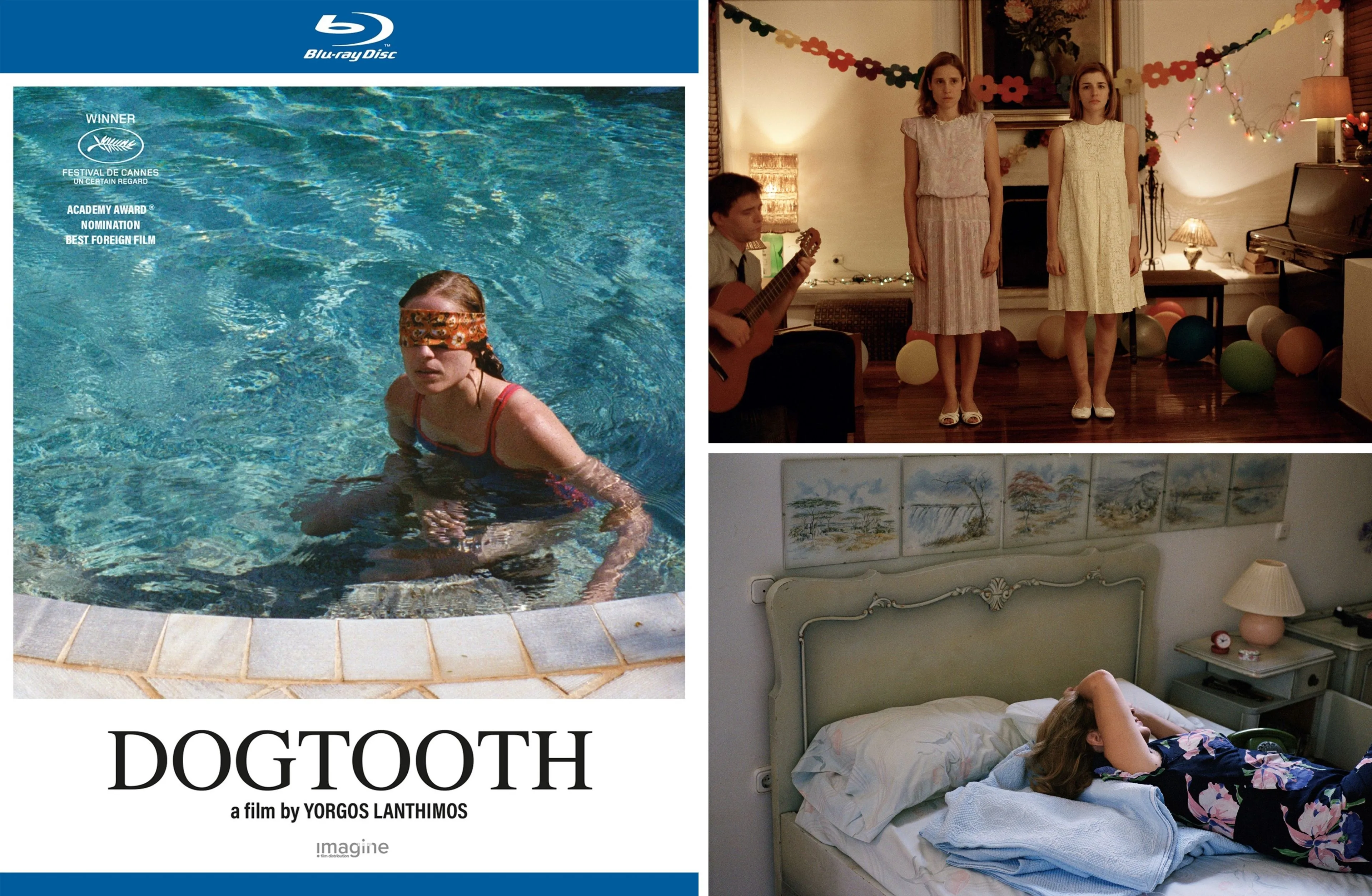 week 48 dogtooth