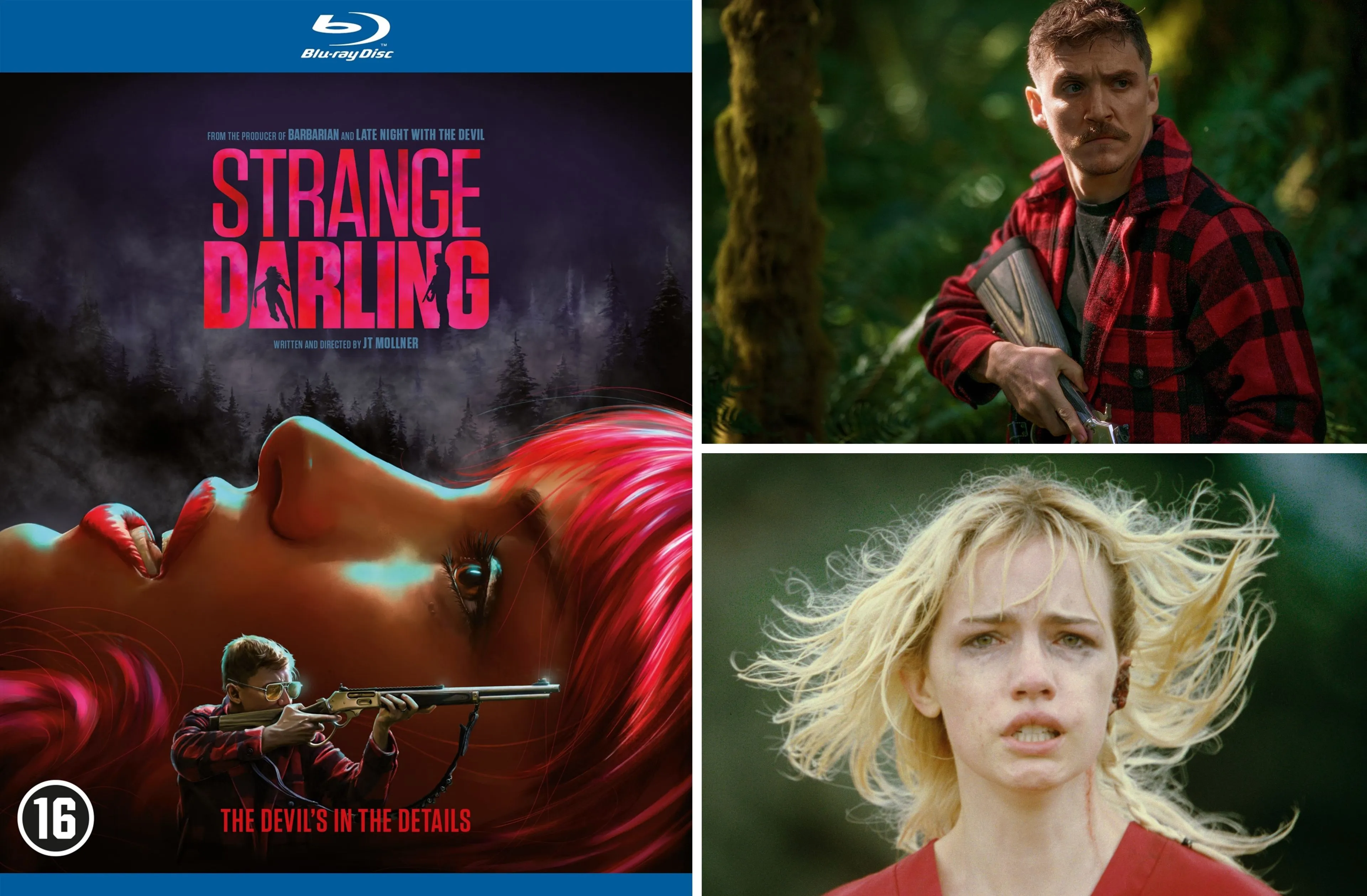 week 01 strange darling