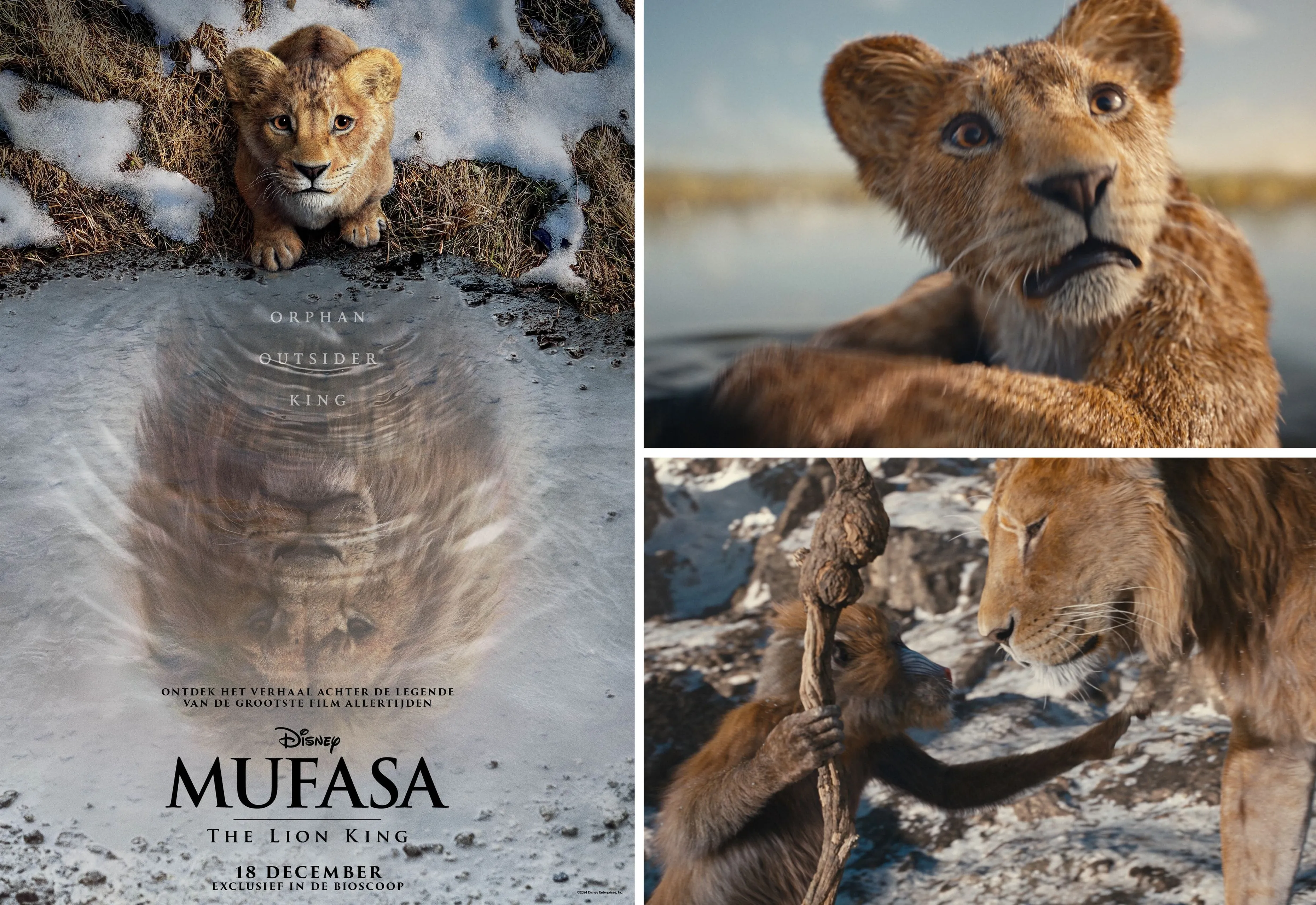 week 50 mufasa the lion king
