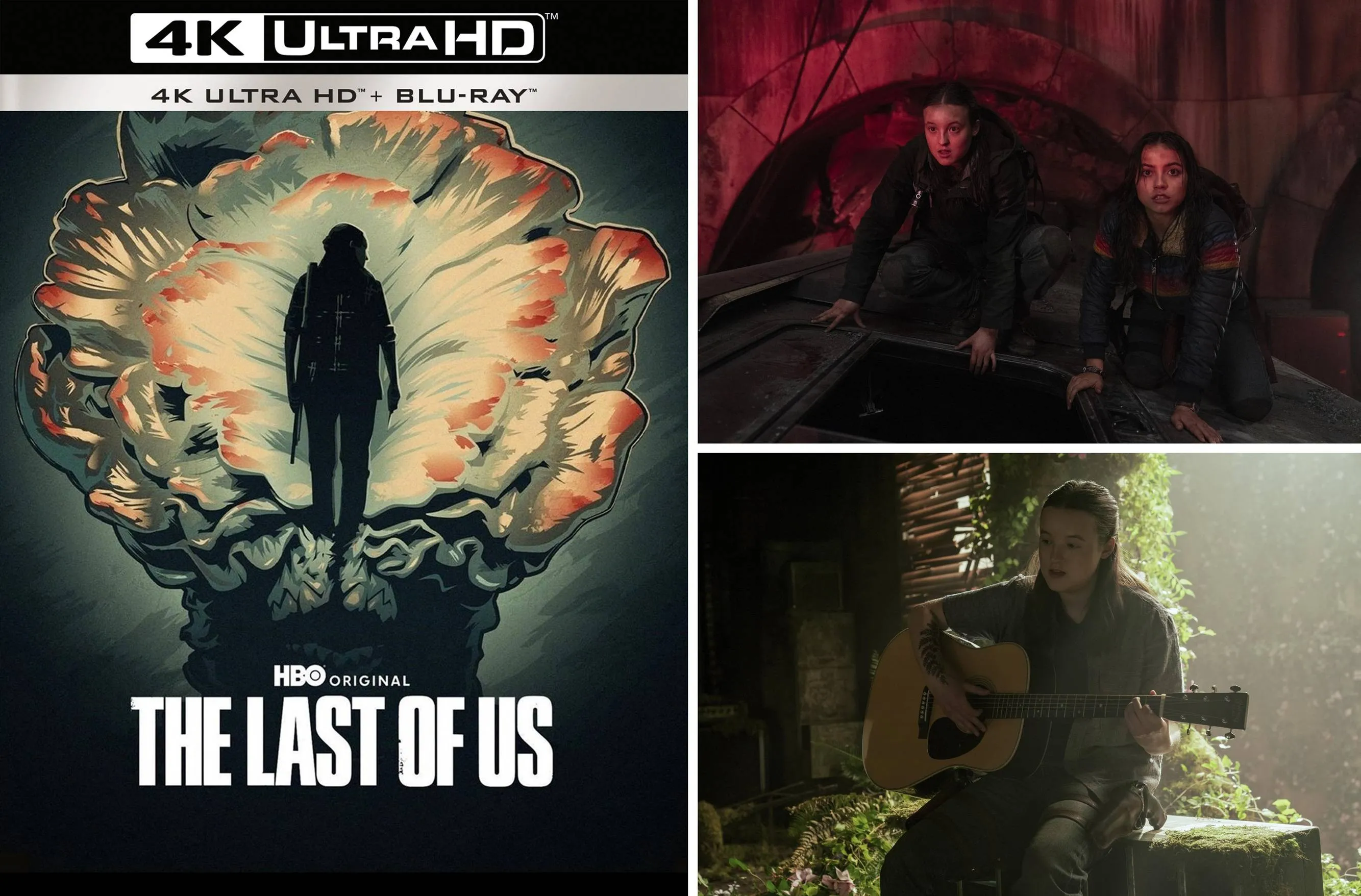 Week 39 - The Last of Us Season 2