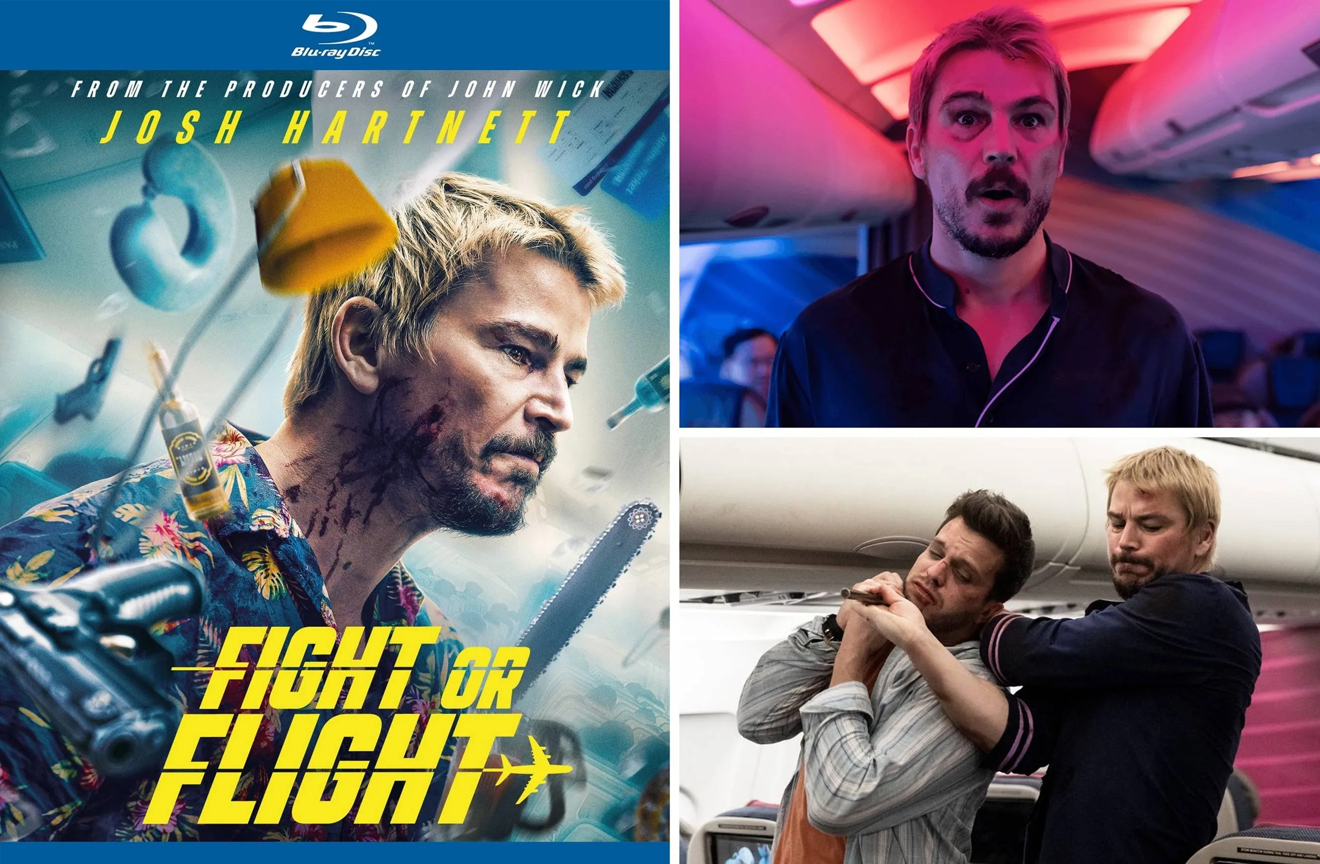 Week 15 - Fight or Flight