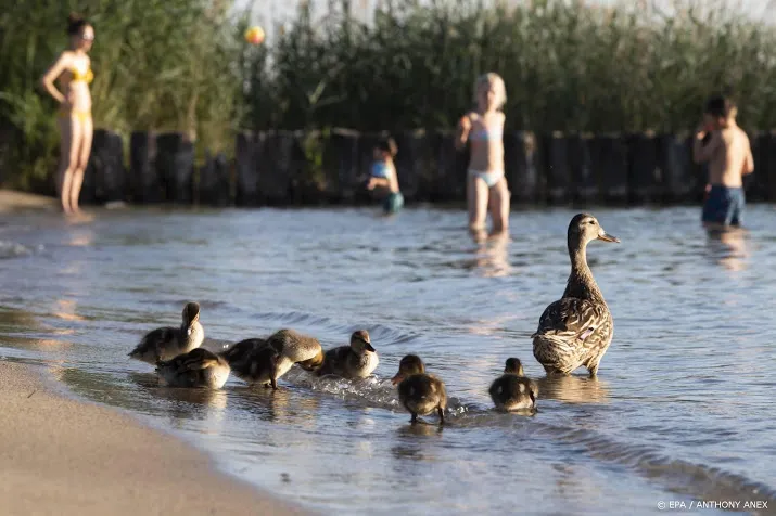 29 juni 2019 is warmste ooit gemeten