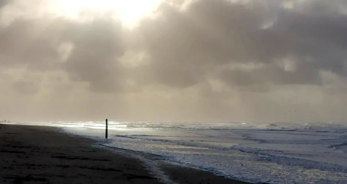 a tiel texel