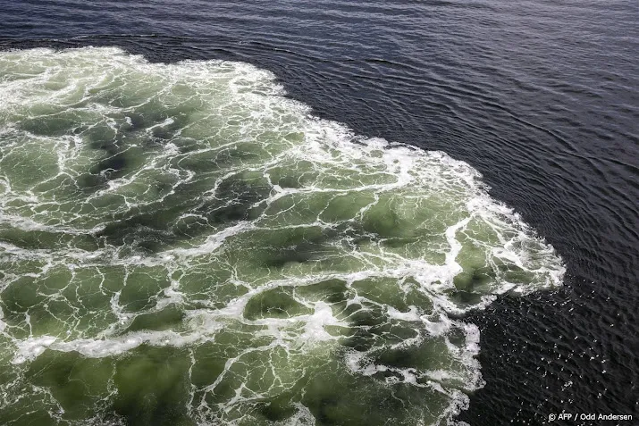 aanbieder scheepsreizen naar noorwegen definitief failliet