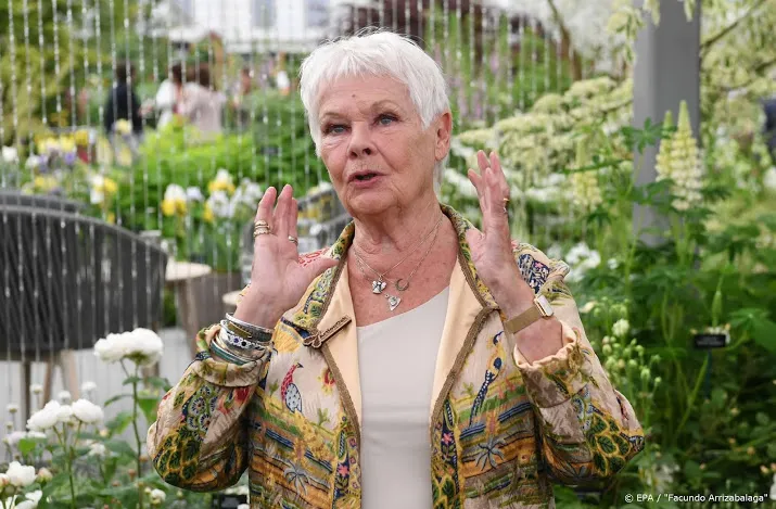 acht razzie nominaties voor cats als slechtste film