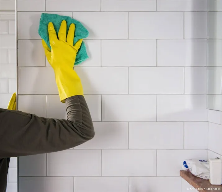 advies schoonmaker via app helpling was wel degelijk werknemer