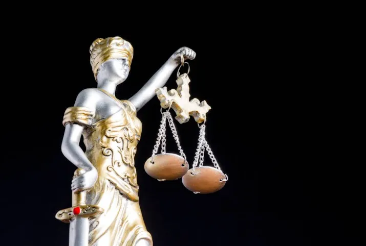 agenten niet vervolgd voor arrestatie p