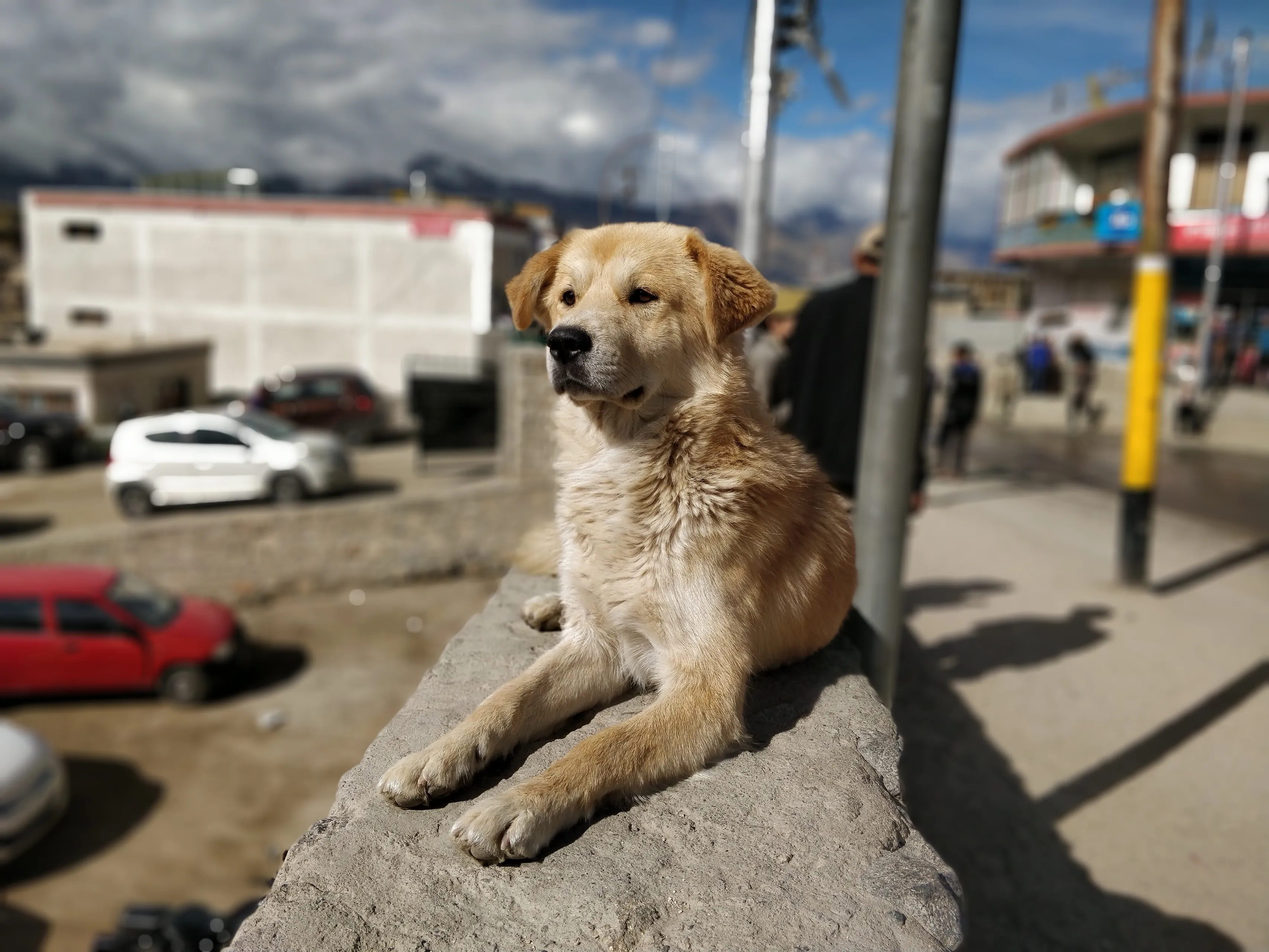 akhil patkar h00ckc3xt9k unsplash