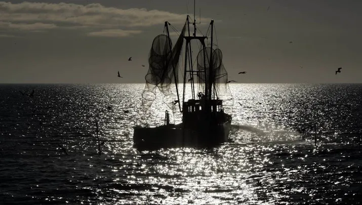akkoord over minder visvangst in ijsselmeer