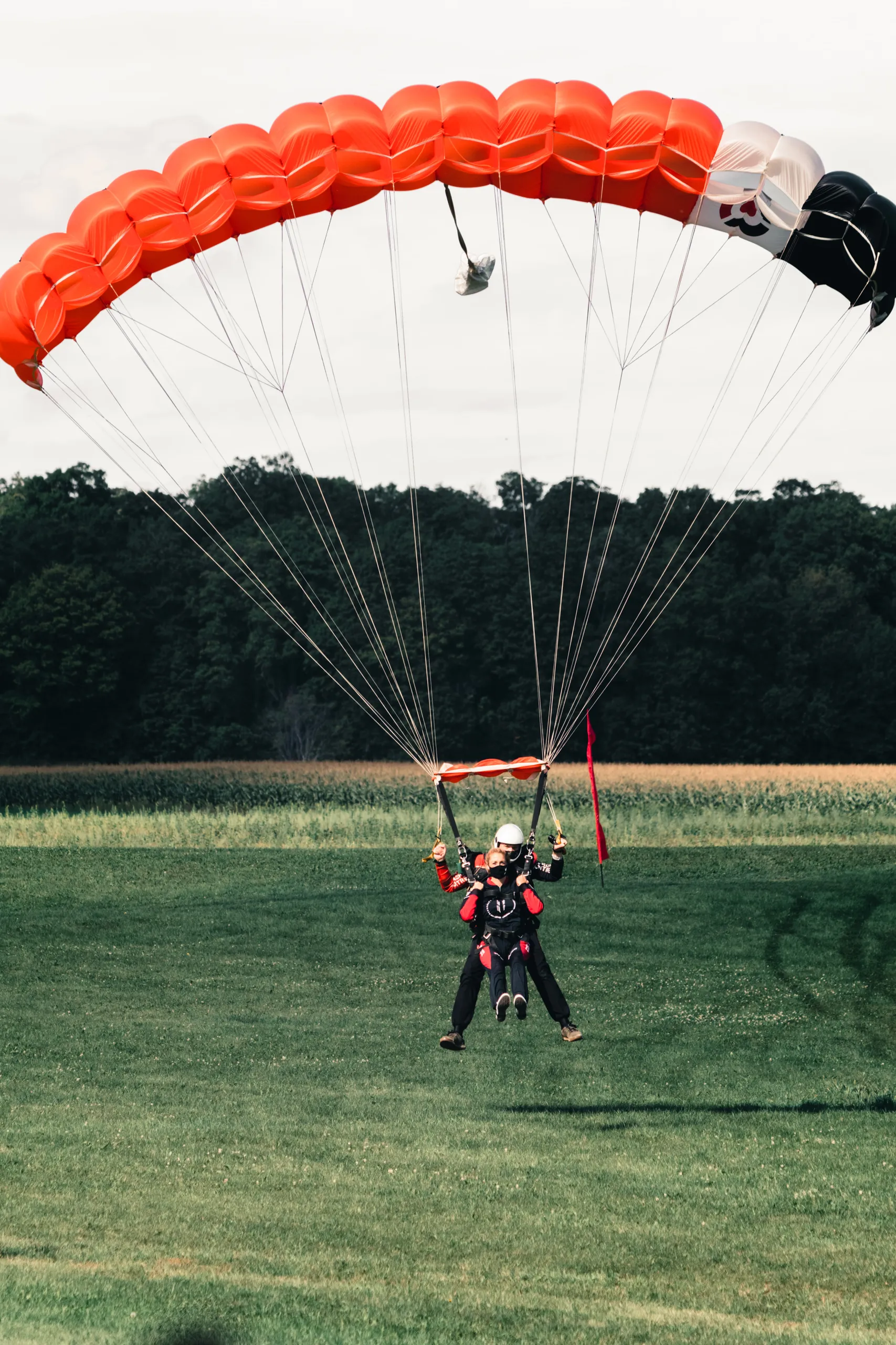 ali kazal 1kx hfx2xc0 unsplash