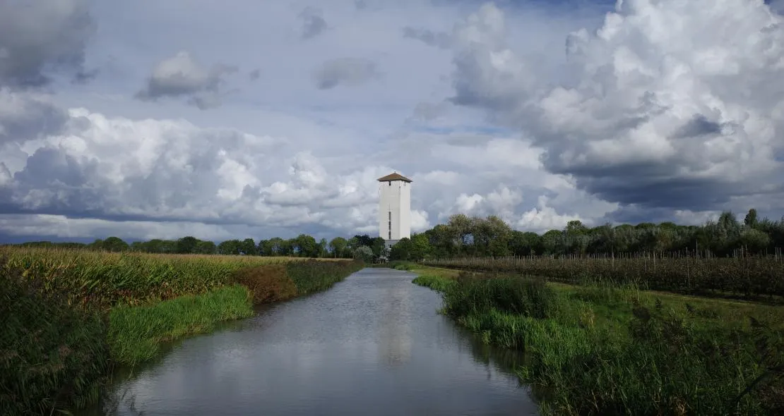 arco visser werkhoven
