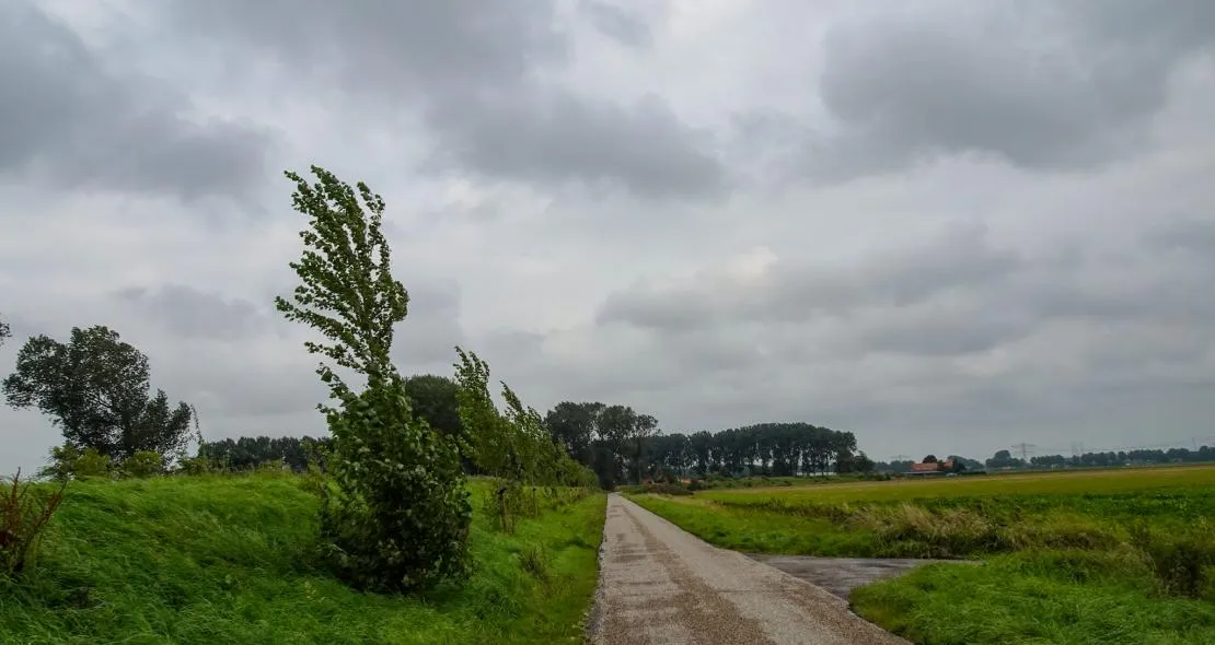 astrid wiessner hoog