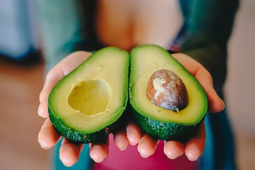 avocado 2115922 340