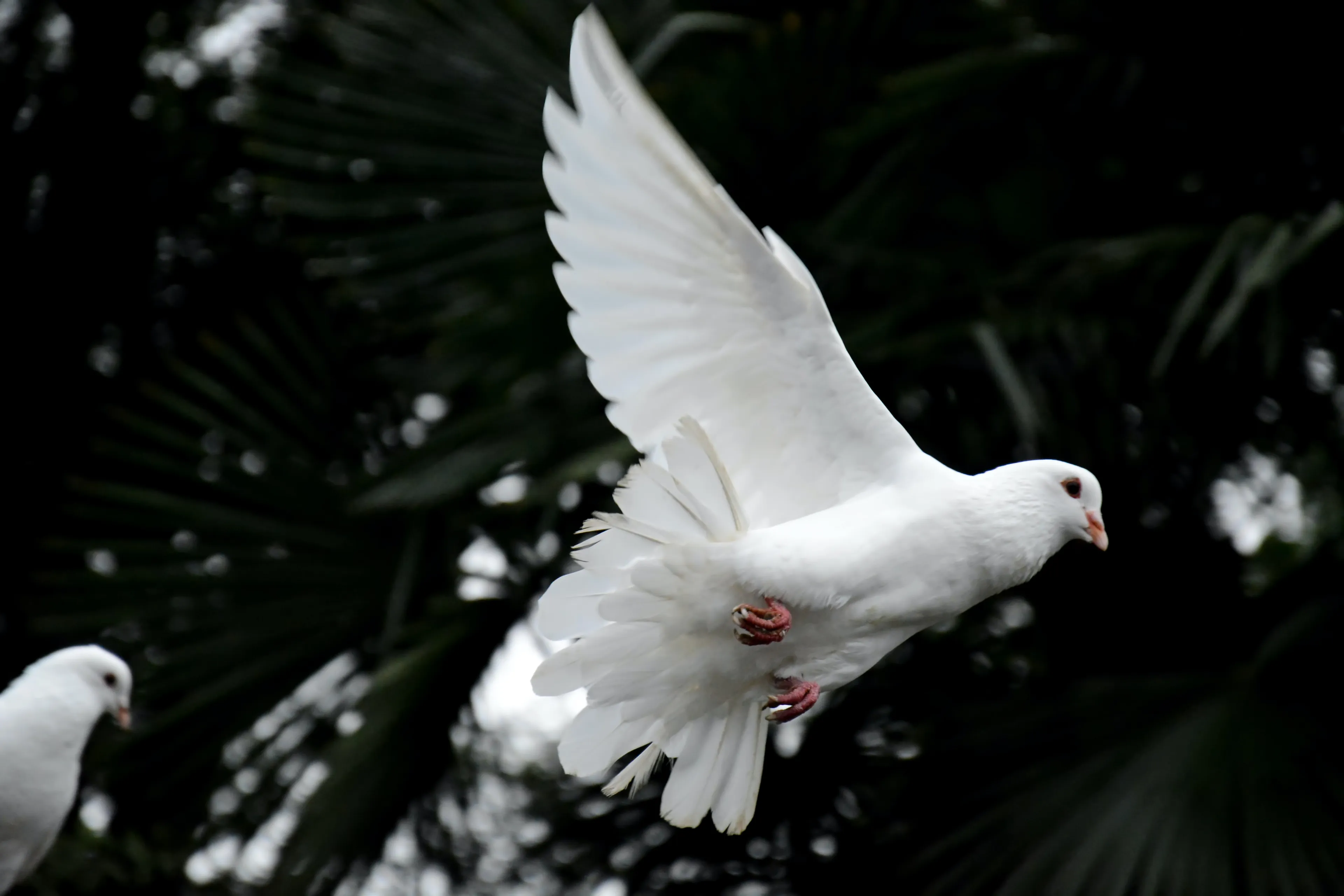 awmleer 6xczimmkngq unsplash