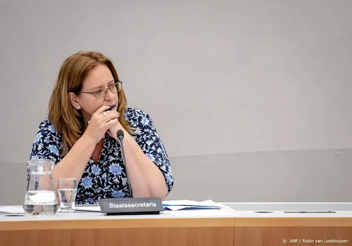 bedrijfsleven staatssecretaris moet it problemen douane oplossen