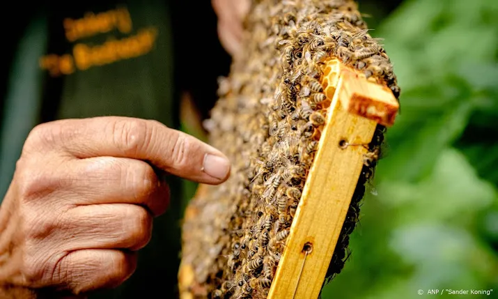 bijna 128 000 bijen geteld