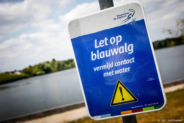 blauwalg en dode vissen bederven zwemwater