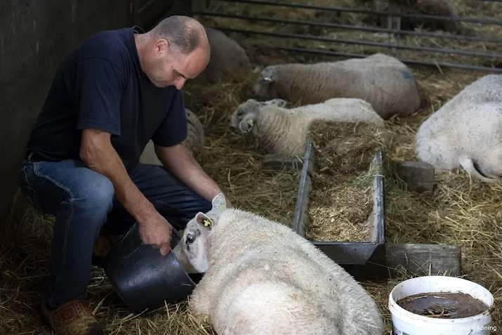 blauwtong al op meer dan 5300 bedrijven