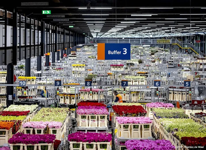 bloemen en plantenexport groeit weer na zeven kwartalen krimp
