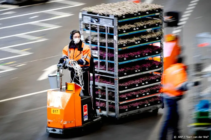 bloemen en plantenexport krimpt minder sterk in mei