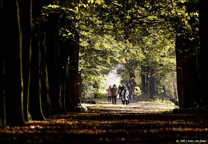 bosoppervlakte in nederland verder afgenomen