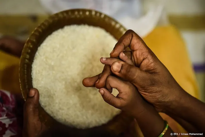 bronnen india overweegt exportstop op meeste rijstsoorten