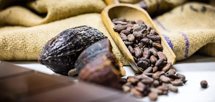 cacaoprijs verder omhoog cacao nu duurder dan koper