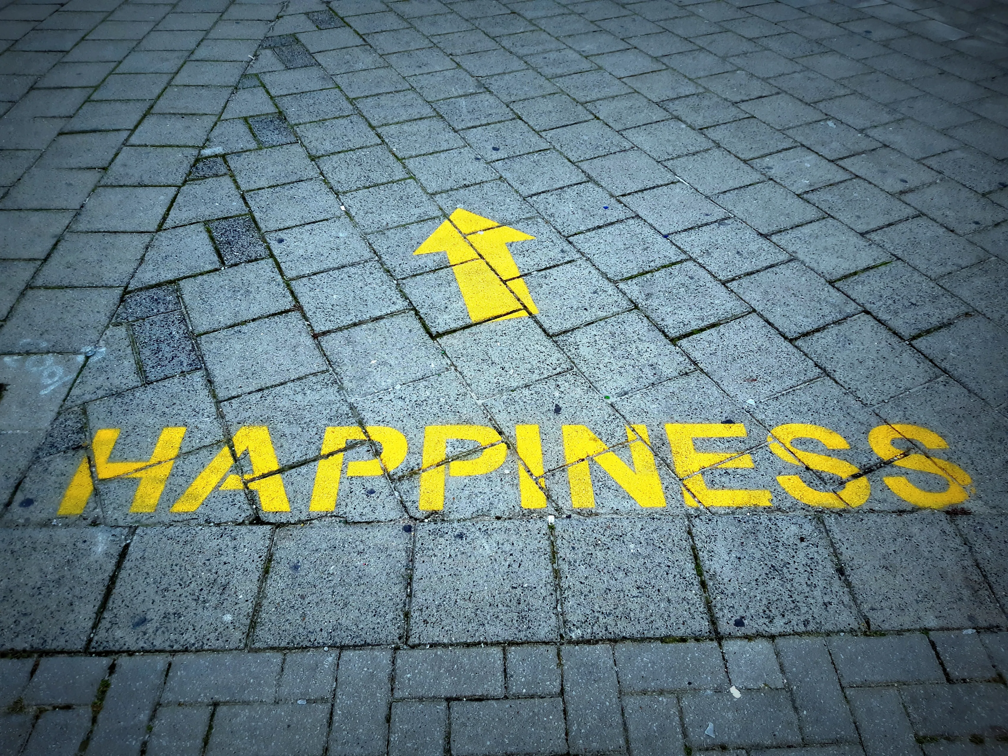 d jonez jj4x2mleyq0 unsplash