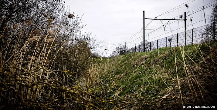 dassenwerkgroep actie tegen dassenburcht bij spoor te laat