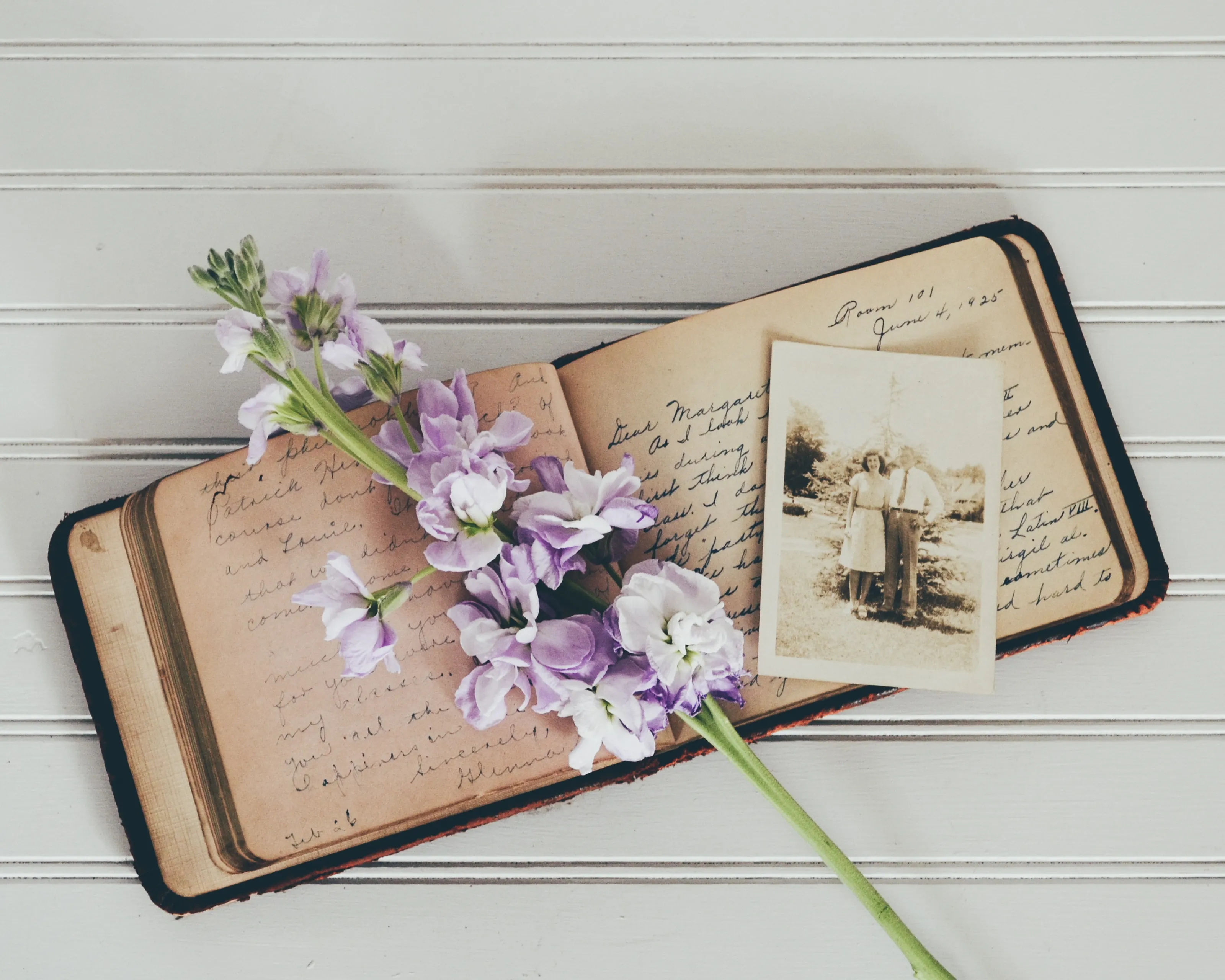 debby hudson 1tcqctjlorq unsplash