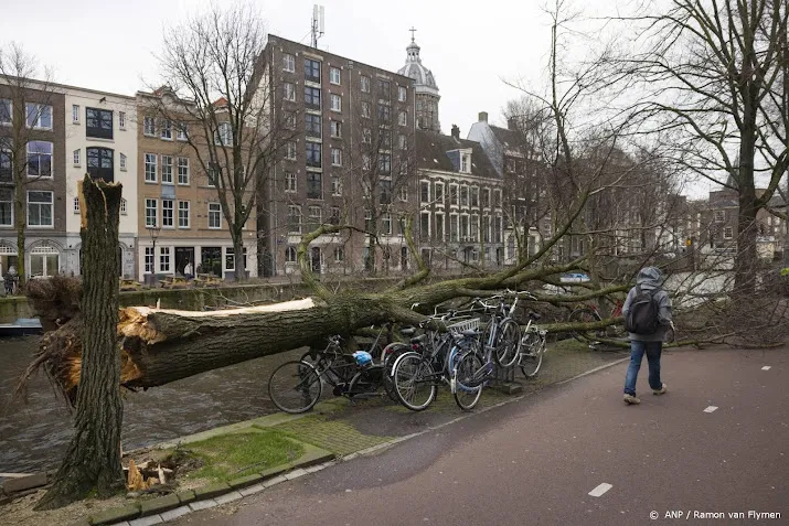 derde dode door storm eunice fietser komt onder boom