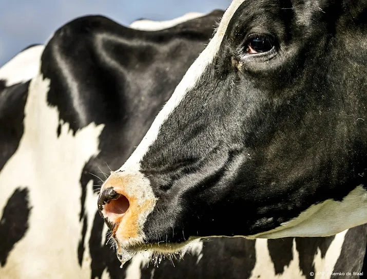 deskundige boeren uitkopen voor stikstof is weggegooid geld