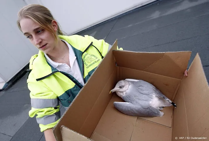 dierenambulances draaien overuren door vogelgriep