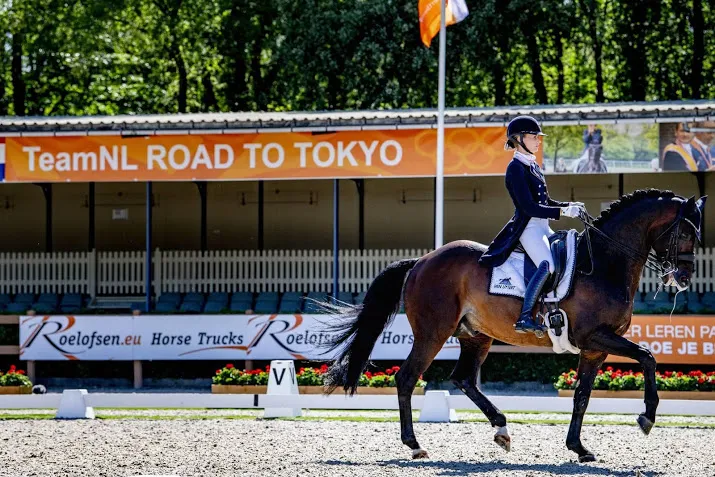 dressuurpaard hermes definitief niet naar olympische spelen