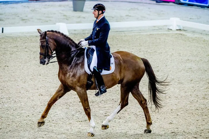 dressuurruiter van der meer naar wb finale