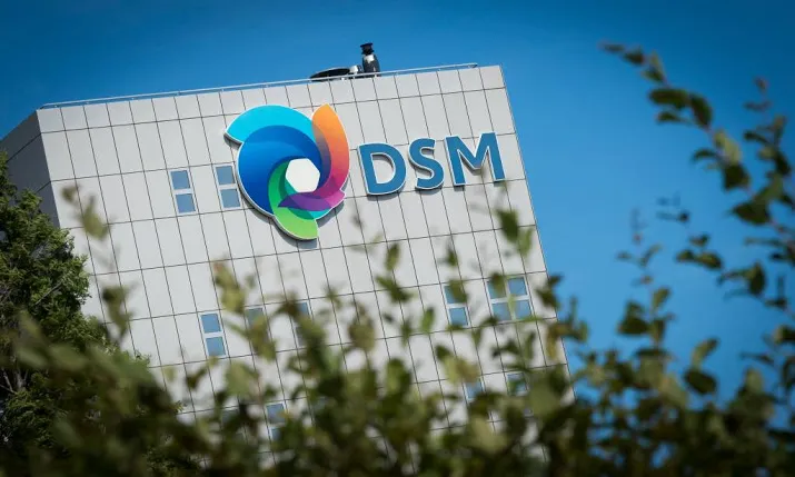 dsm stijgt op positief damrak